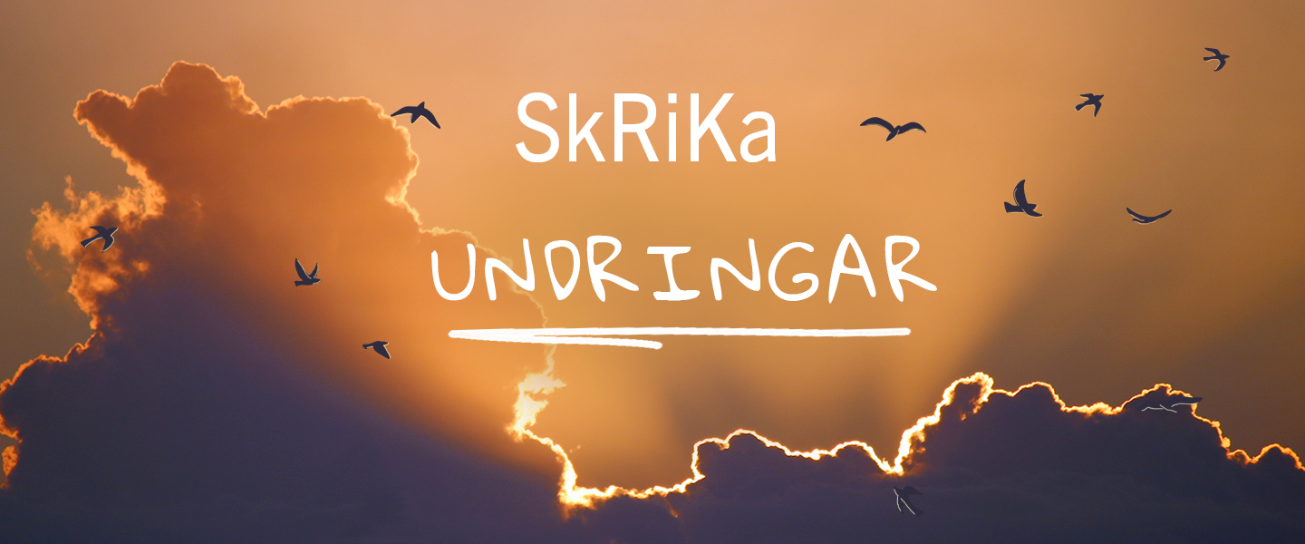 Texten Skrika - Undringar syns. I bakgrunden flyger det fåglar i en solnedgång. 